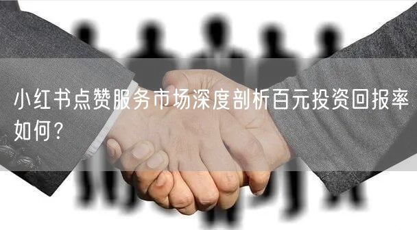 小红书点赞服务市场深度剖析百元投资回报率如何？