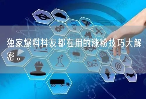 独家爆料抖友都在用的涨粉技巧大解密。
