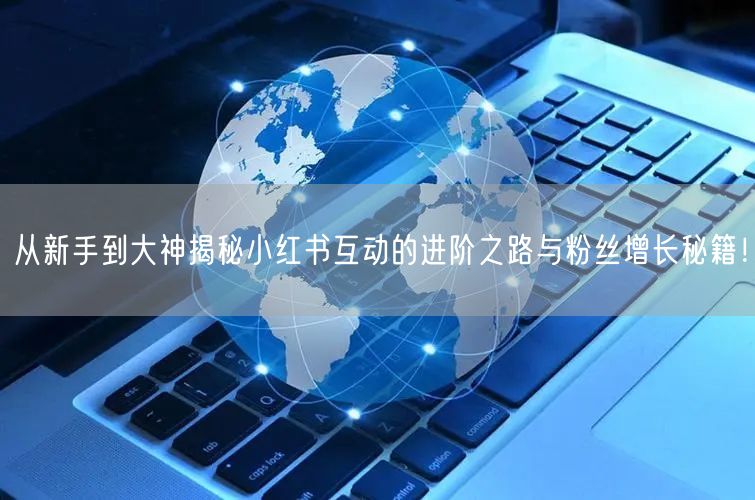 从新手到大神揭秘小红书互动的进阶之路与粉丝增长秘籍！