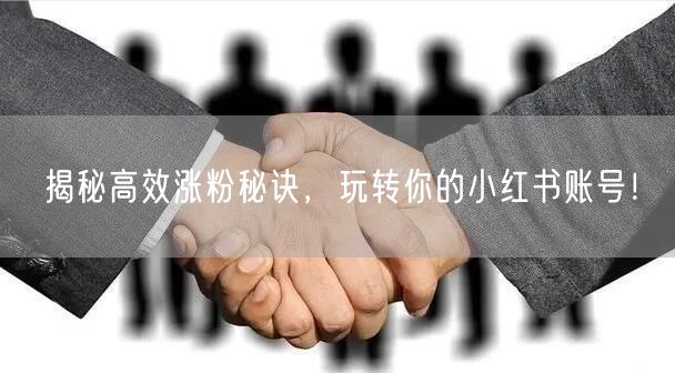 揭秘高效涨粉秘诀，玩转你的小红书账号！