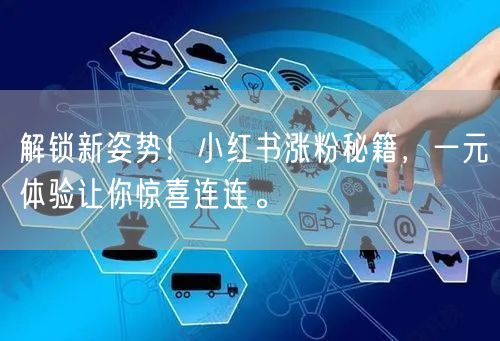 解锁新姿势！小红书涨粉秘籍，一元体验让你惊喜连连。