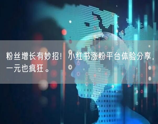 粉丝增长有妙招！小红书涨粉平台体验分享，一元也疯狂。