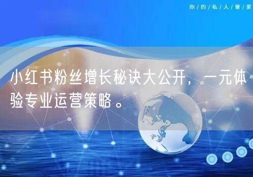 小红书粉丝增长秘诀大公开，一元体验专业运营策略。