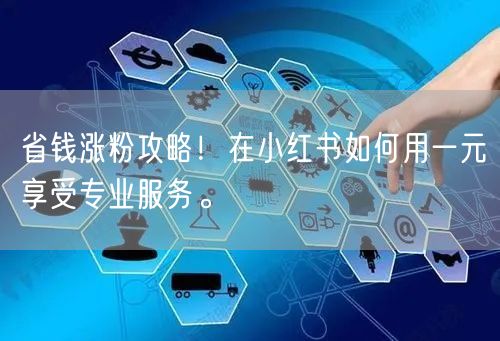 省钱涨粉攻略！在小红书如何用一元享受专业服务。