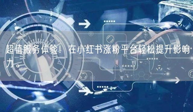 超值服务体验！在小红书涨粉平台轻松提升影响力。