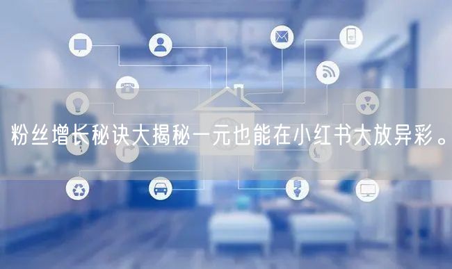 粉丝增长秘诀大揭秘一元也能在小红书大放异彩。