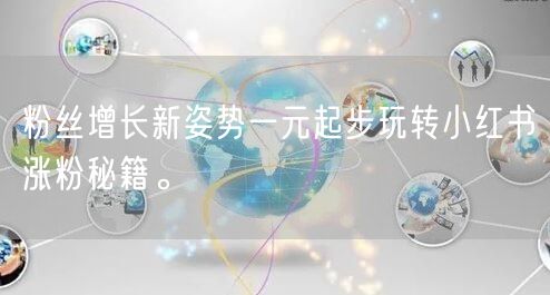 粉丝增长新姿势一元起步玩转小红书涨粉秘籍。