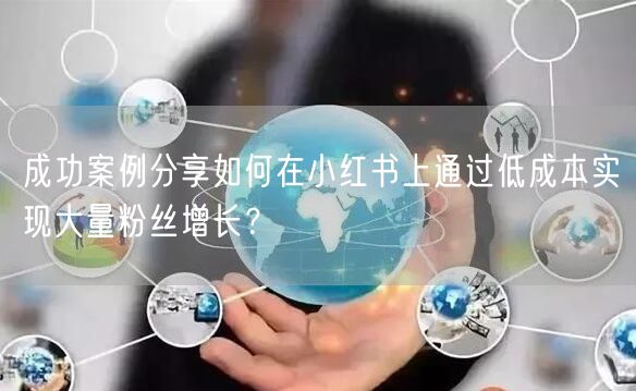 成功案例分享如何在小红书上通过低成本实现大量粉丝增长？