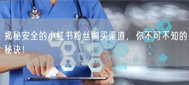 揭秘安全的小红书粉丝购买渠道，你不可不知的秘诀！