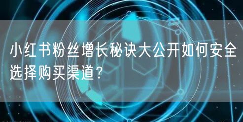 小红书粉丝增长秘诀大公开如何安全选择购买渠道？