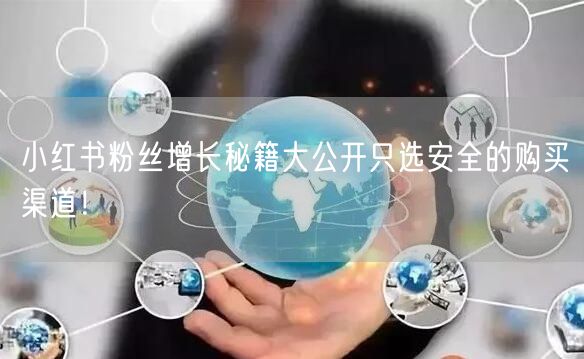 小红书粉丝增长秘籍大公开只选安全的购买渠道！