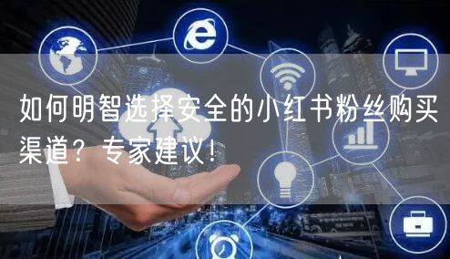 如何明智选择安全的小红书粉丝购买渠道？专家建议！