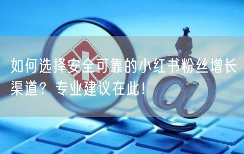 如何选择安全可靠的小红书粉丝增长渠道？专业建议在此！
