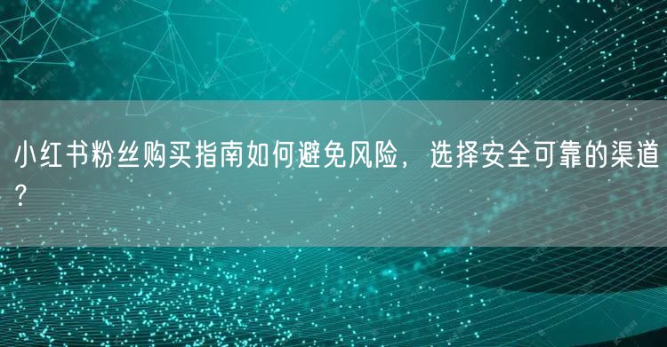小红书粉丝购买指南如何避免风险，选择安全可靠的渠道？