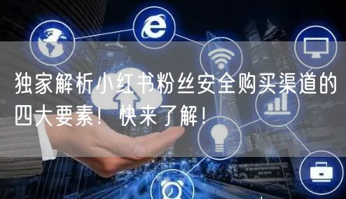 独家解析小红书粉丝安全购买渠道的四大要素！快来了解！