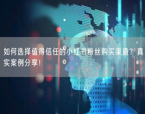 如何选择值得信任的小红书粉丝购买渠道？真实案例分享！
