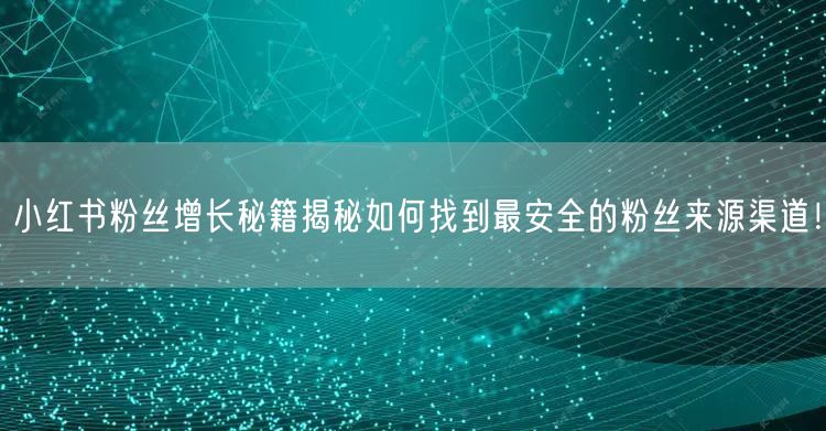 小红书粉丝增长秘籍揭秘如何找到最安全的粉丝来源渠道！