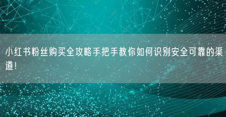 小红书粉丝购买全攻略手把手教你如何识别安全可靠的渠道！