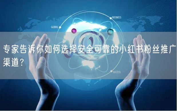 专家告诉你如何选择安全可靠的小红书粉丝推广渠道？