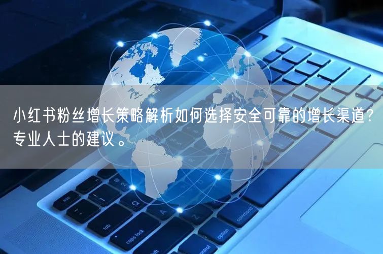 小红书粉丝增长策略解析如何选择安全可靠的增长渠道？专业人士的建议。