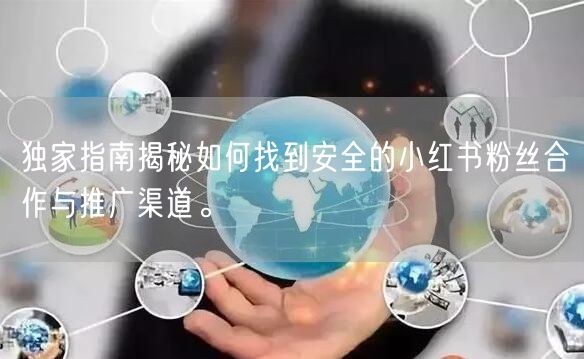 独家指南揭秘如何找到安全的小红书粉丝合作与推广渠道。