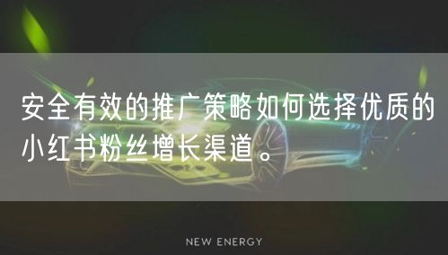 安全有效的推广策略如何选择优质的小红书粉丝增长渠道。
