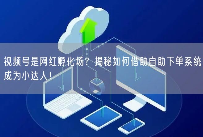 视频号是网红孵化场？揭秘如何借助自助下单系统成为小达人！