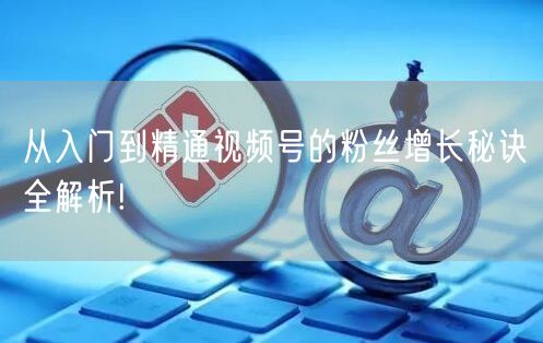 从入门到精通视频号的粉丝增长秘诀全解析!