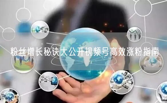 粉丝增长秘诀大公开视频号高效涨粉指南