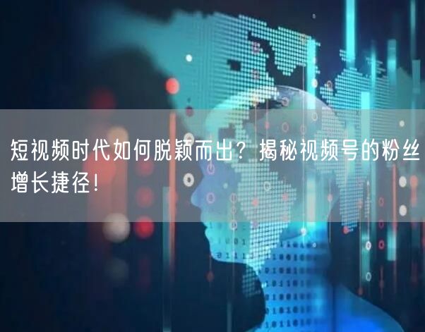 短视频时代如何脱颖而出？揭秘视频号的粉丝增长捷径！
