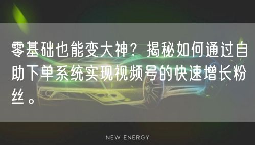 零基础也能变大神？揭秘如何通过自助下单系统实现视频号的快速增长粉丝。