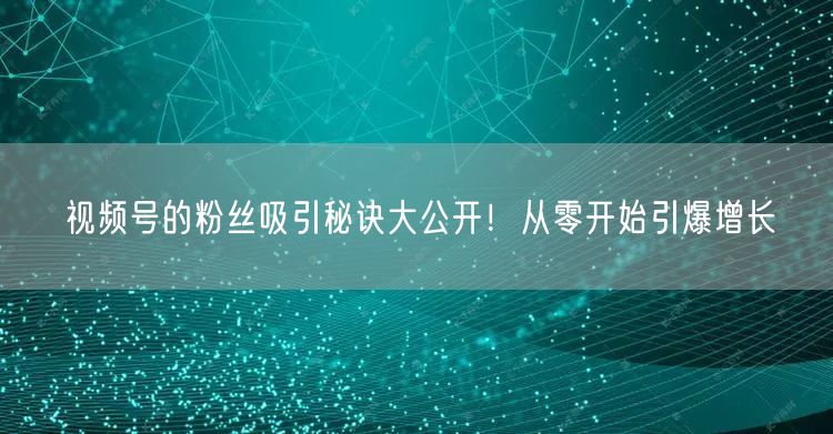 视频号的粉丝吸引秘诀大公开！从零开始引爆增长